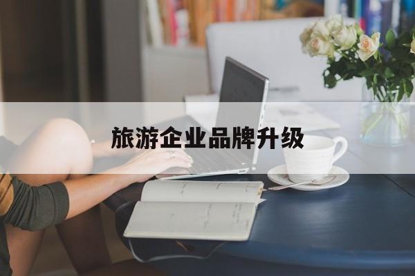 海东市旅游企业品牌升级(旅游企业品牌升级措施)