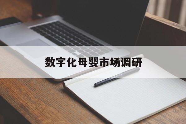 海东市数字化母婴市场调研(数字化母婴市场调研报告)